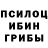 Псилоцибиновые грибы прущие грибы sergzp
