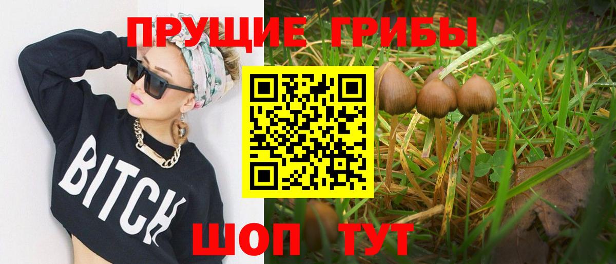Галлюциногенные грибы прущие грибы Наро-Фоминск