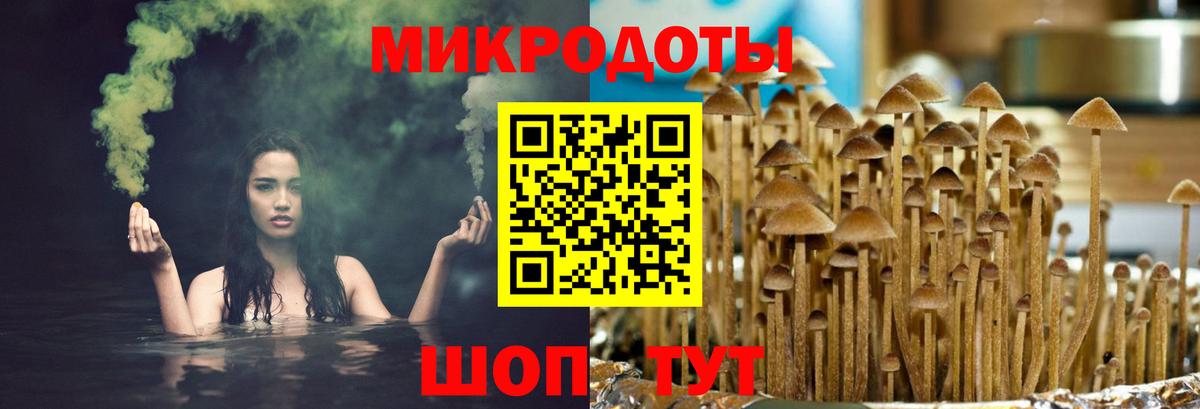 Галлюциногенные грибы Psilocybe  Вход с VPN  Наро-Фоминск 